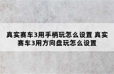 真实赛车3用手柄玩怎么设置 真实赛车3用方向盘玩怎么设置